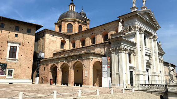Urbino