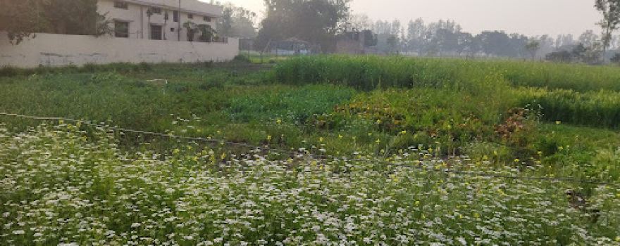 Shriram Garden