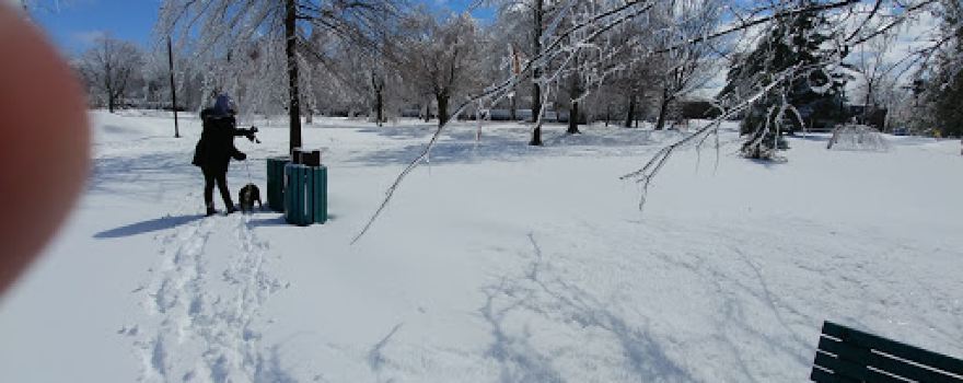 Parc De Sève