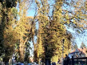 The city park. Monte Cassino