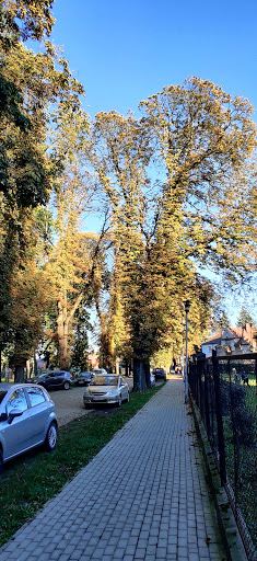 The city park. Monte Cassino
