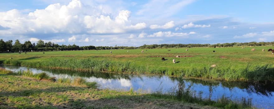 Camping De Turftente