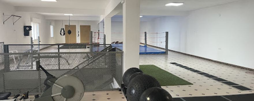 King Fitness Club
