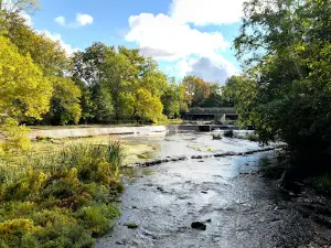 Majakivi