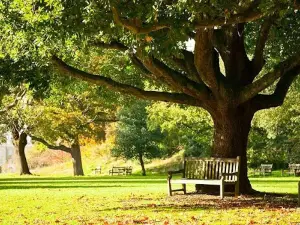 Agrasen Park