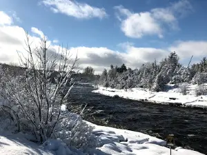 Black River Trail Trailhead