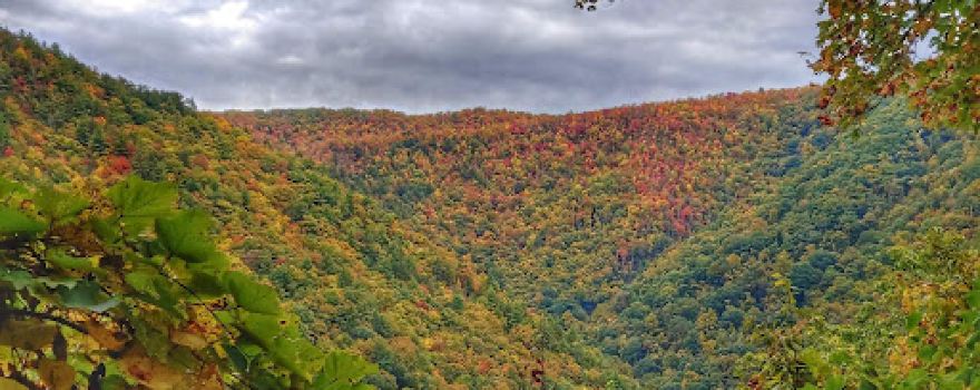 Watershed MTN Bike Trails