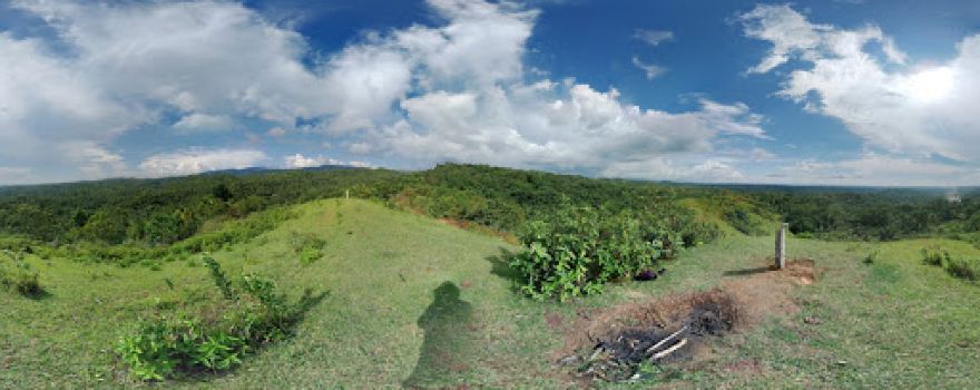 Tambis Mt. View