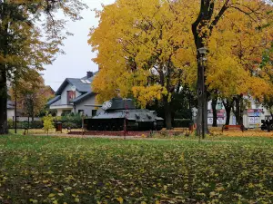 Park Wojsko Polskie