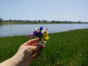 Tatarköy Pond