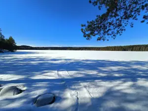 Östra Silvberg gruva