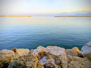 Sea breeze