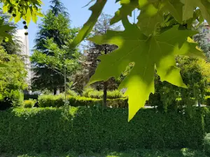 Yeşil Çubuk Parkı