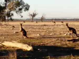 Tuart Forest National Park