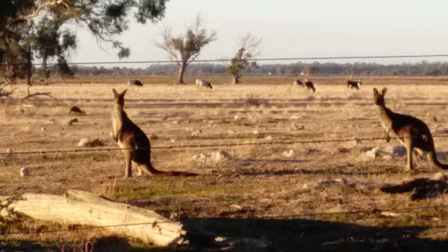 Tuart Forest National Park
