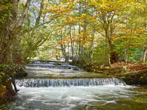 Ecopath White River