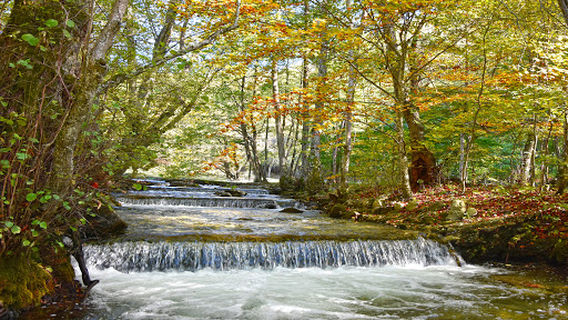 Ecopath White River