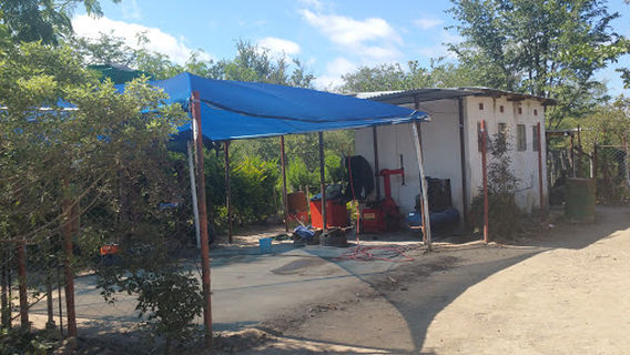 Hwange Zoo Aviary Nature Park