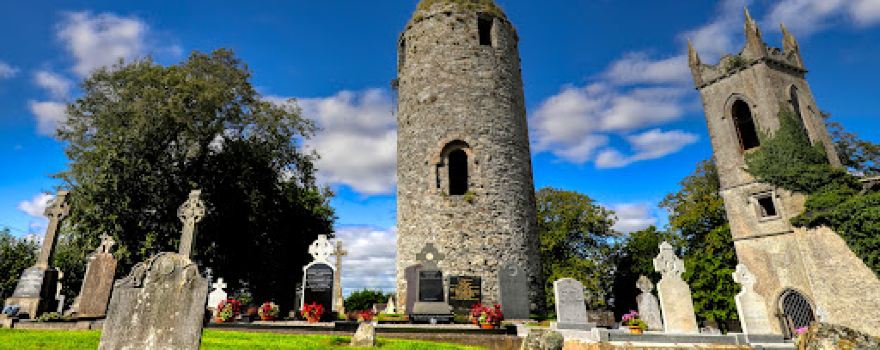 Dromiskin Monastic Site