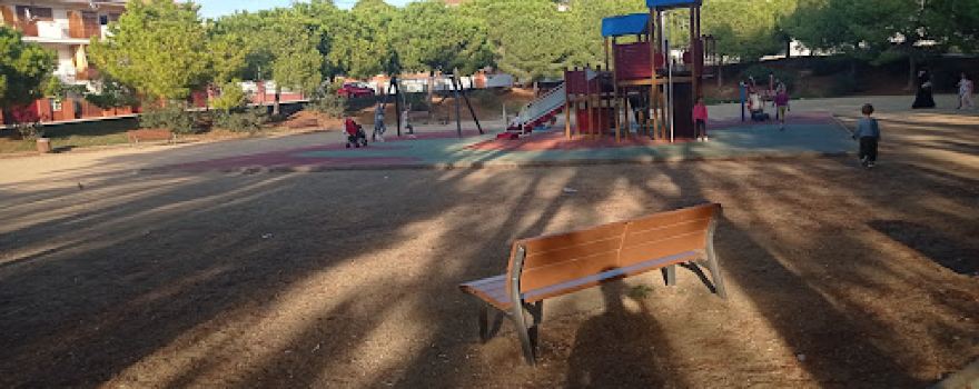 Children's Playground Shaded by Pine Trees