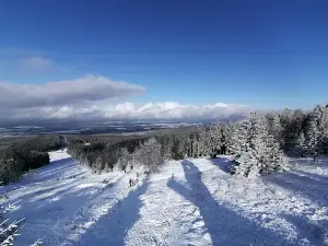 Erbeskopf 816,0 m