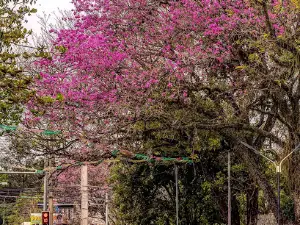 Plaza San Antonio PY