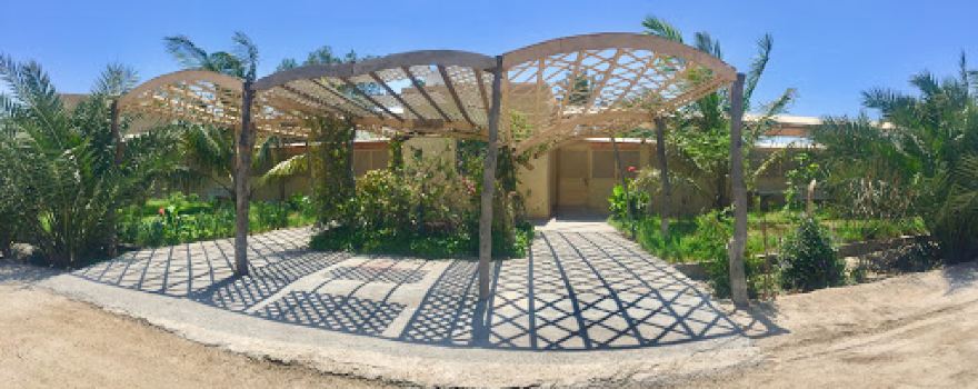AlSadah Garden السادة جاردن