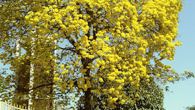 Paróquia Santa Rita de Cássia