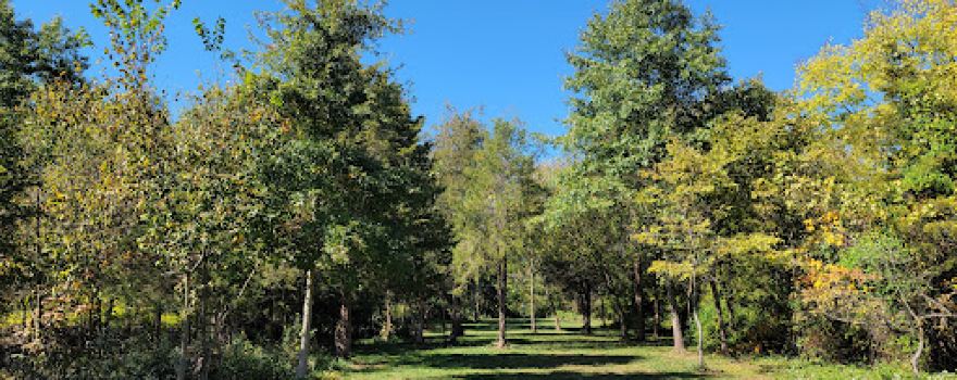 E. Eugene Myers Community Park