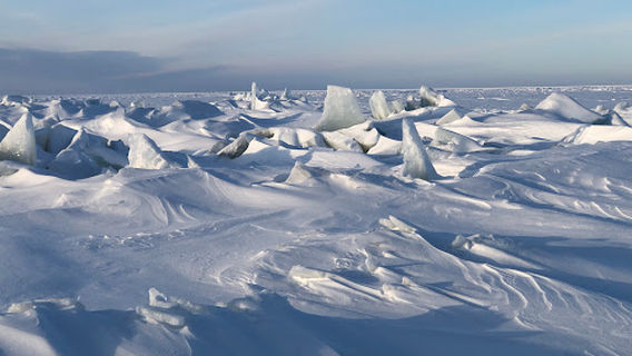 Dale's on Lake of the Woods