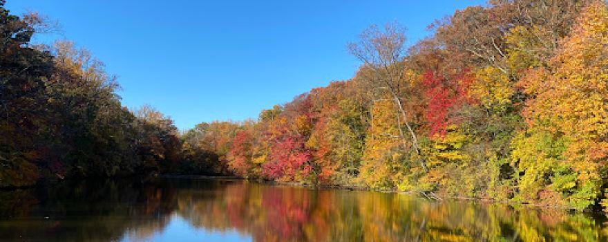 Pennypacker Park
