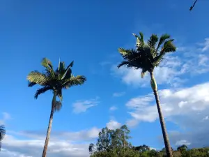 Termas Ilha Redonda