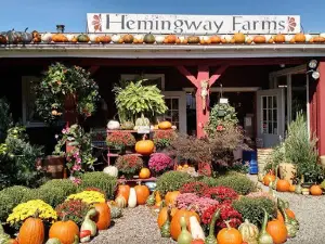 Hemingway Farms