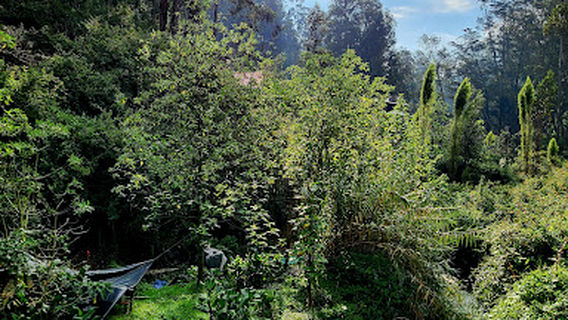 Otavalo