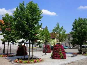 Skoki town square