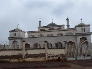 Meiganga Central Mosque