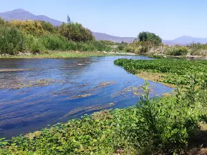 Maipo River