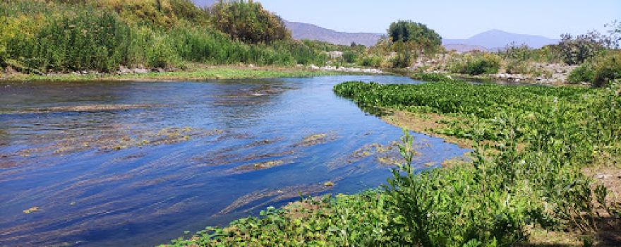 Maipo River
