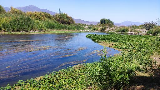 Maipo River