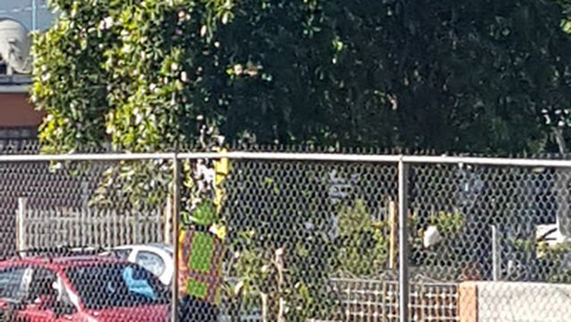 Cancha Silvia Cedeño