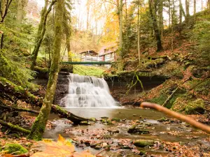 Wieslaufschlucht und Edenbachschlucht