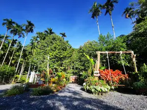 ล่องแพบ้านวังหอน Wanghon Bamboo Rafts