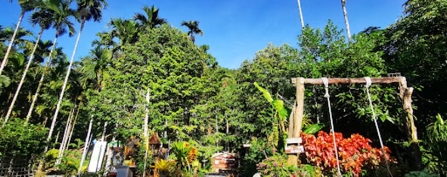 ล่องแพบ้านวังหอน Wanghon Bamboo Rafts