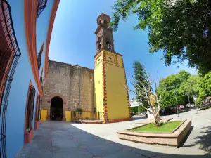 Colon Garden
