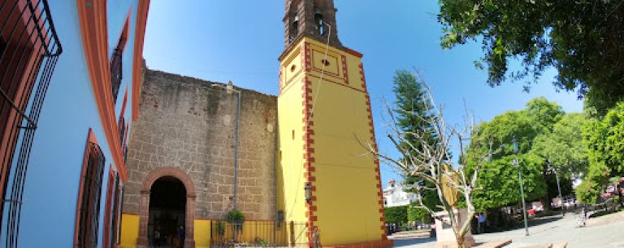 Colon Garden