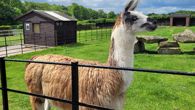 Graves Park Animal Farm