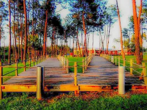 Parque Urbano de Abrantes Sao Lourenco