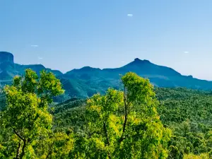 Whitegum Lookout