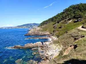 Monteferro