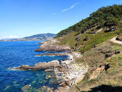 Monteferro